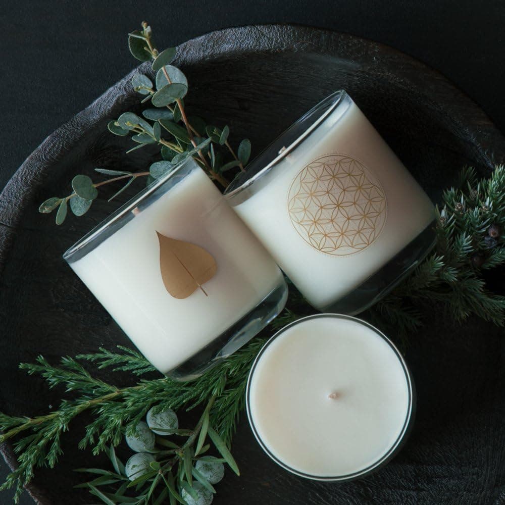 BODHI TREE Hand-Poured, Plant-Wax Frankincense-Scented Candle in Reusable Sacred Geometry Glass (16 oz)