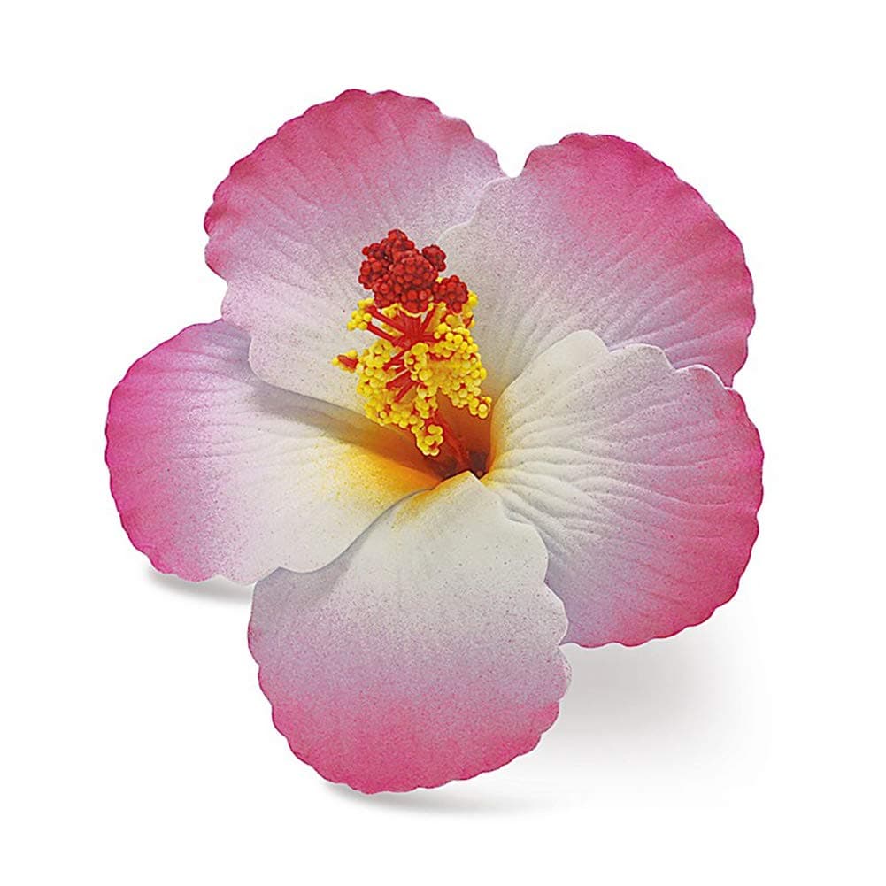 Hawaii Hair Clip Foam Flower Hibiscus Pink