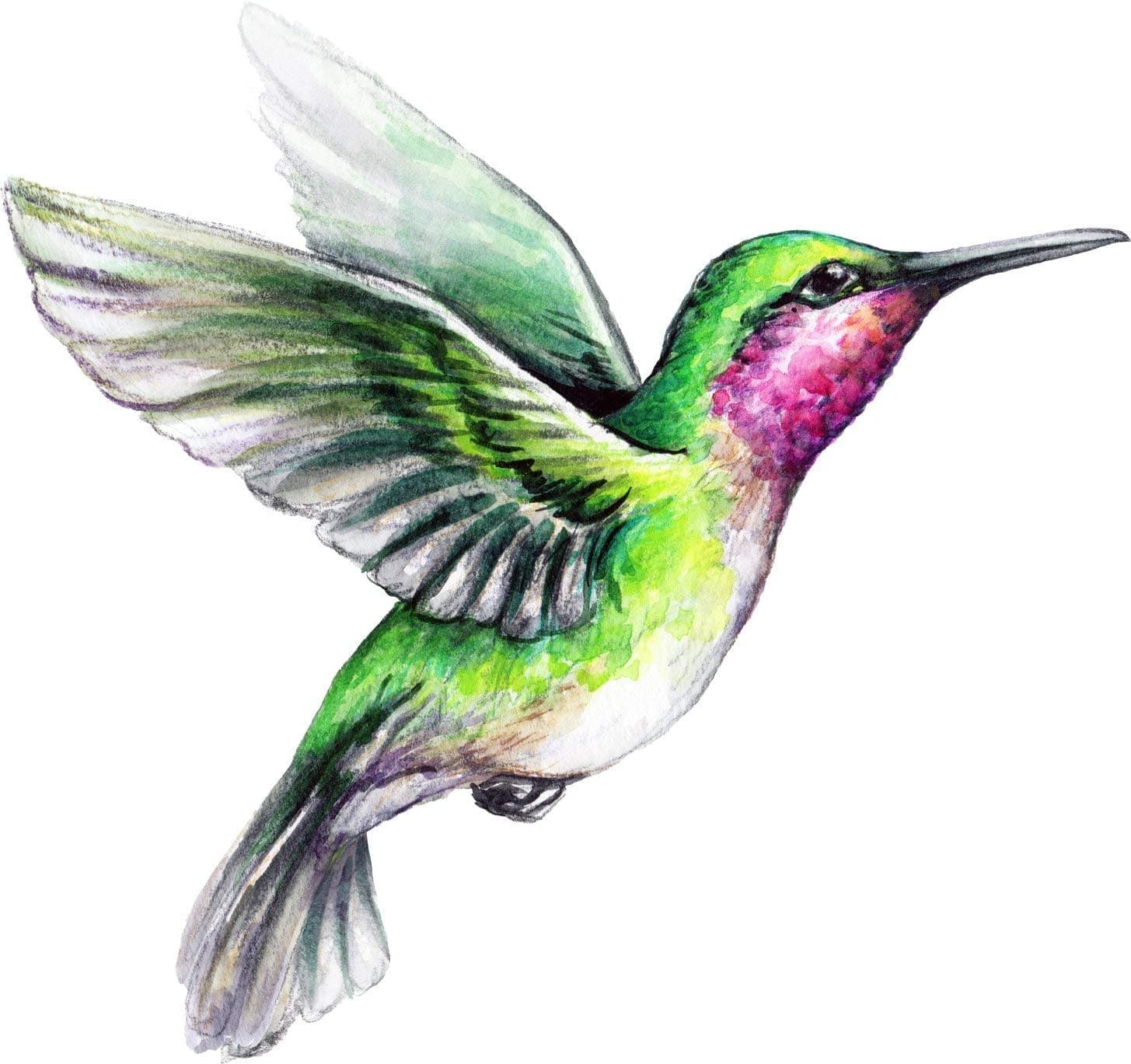 Magnet Beautiful Vibrant Colored Hummingbird Art #5 Vinyl Magnet (4" Wide)