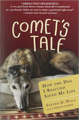 Comet's Tale: How the Dog I Rescued Saved My Life