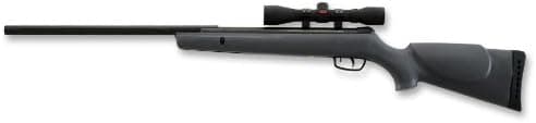 Gamo 611004855554 Big Cat Air .22 Caliber Air Rifle with Scope