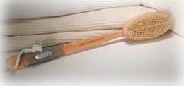 Long Handled Bath Brush