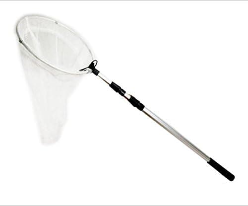 Lisi store New Diameter 30cm Professional Bug insect Butterfly Folding net catching extenda