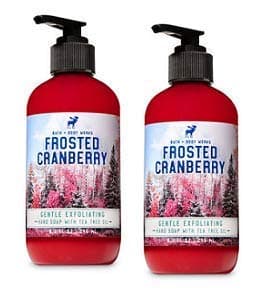 Bath and Body Works 2 Pack Gentle Exfoliating Hand Soap Frosted Cranberry. 8 Oz.