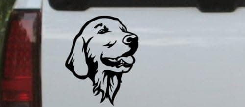 Rad Dezigns Golden Retriever Animals Car Window Wall Laptop Decal Sticker - Black 3.7in X 3in