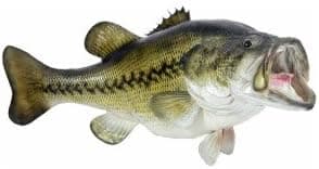 Largemouth Bass Fish Decal Sticker