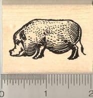 Pot-Bellied Pig Rubber Stamp, Vietnamese Miniature Pig