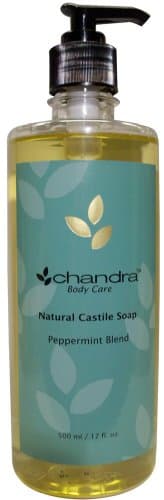 Natural Castile Liquid Soap - Peppermint (17 fl oz.)