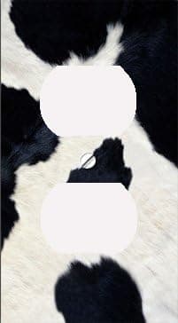 Cow Skin Print Outlet Cover