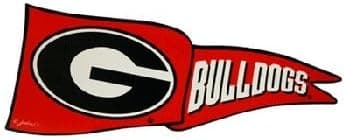 NCAA Georgia Bulldogs Car Magnet Pennant (Small, 2 Pack)
