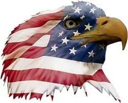 Patriotic Eagle Head Decal Facing Right - 3" h - REFLECTIVE