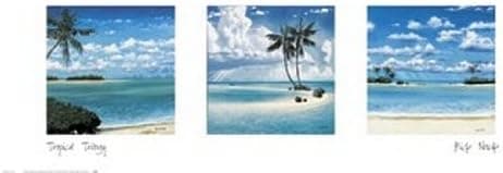 Tropical Trilogy - Poster by Rick Novak (34 x 12)