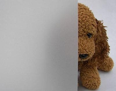 White Frost Privacy Decorative Window Film 36" Wide x 1yd.Sold by The Yard as one Continuous roll.