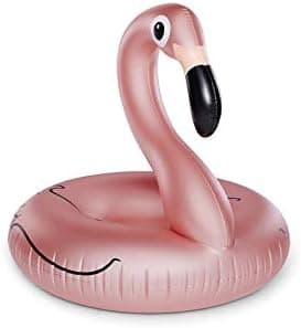 BigMouth Inc Flamingo Pool Float