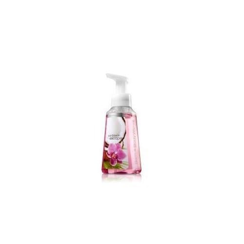 Bath and Body Works Antibacterial Gentle Foaming Hand Soap 8.75 Oz, 2 Pack (Caribbean Escape)