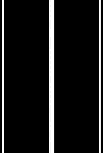 Enchantingly Elegant dual20.52 Dual Style Racing Stripes Rally Car Truck Vehicle Graphics Vinyl Decal Wall Sticker, 20.52"
