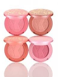 Chic to Cheek Deluxe Amazonian Clay Blush Set