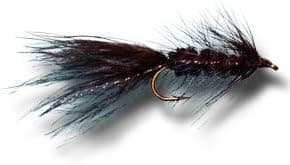 Woolly Bugger - Black Fly Fishing Fly