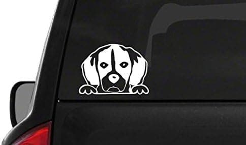 CustomDecal US Peeking Beagle (A26) Vinyl Decal Sticker Car/Truck Laptop/Netbook Window