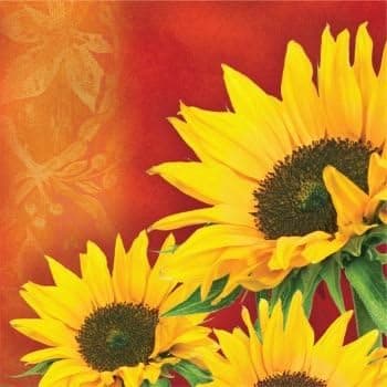 Sunflower Style 3-Ply Lunch Napkins 16 Per Pack