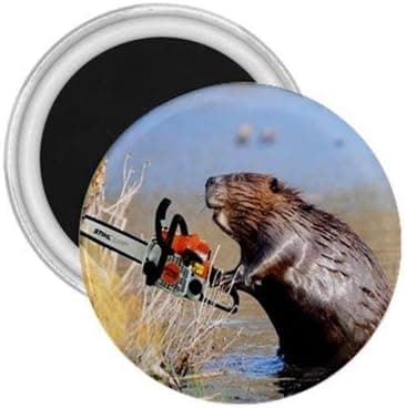 beaver with chainsaw Souvenir Magnets