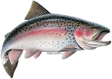 Saber-Tooth Co Rainbow Trout Decal/Sticker Fresh Water Fish Collection (Medium-13 x 7.5-Reverse Facing)