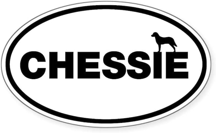 CafePress Oval Chessie Sticker (Chesapeake Bay Retriever) Oval Bumper Sticker, Euro Oval Car Decal