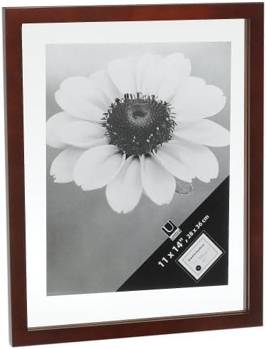 Umbra Document 11-Inch-by-14-Inch Frame, Walnut
