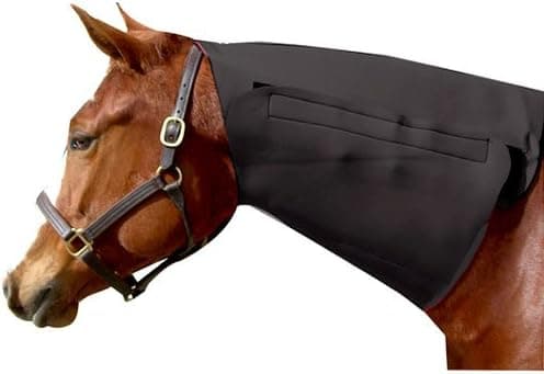 Intrepid International Neoprene Neck Horse Sweat, Black