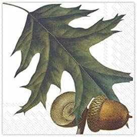Ideal Home Range 20 Count Caskata Studios Paper Cocktail Napkins, Acorns