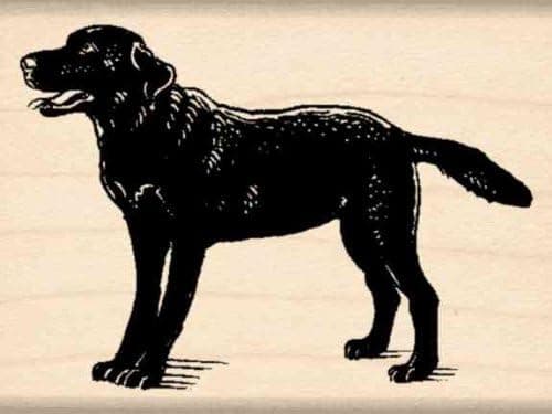 Stamps by Impression Black Labrador Rubber Stamp
