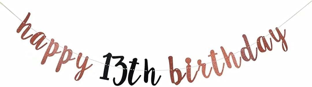 13 birthday banner and 13th birthday hanging swirls