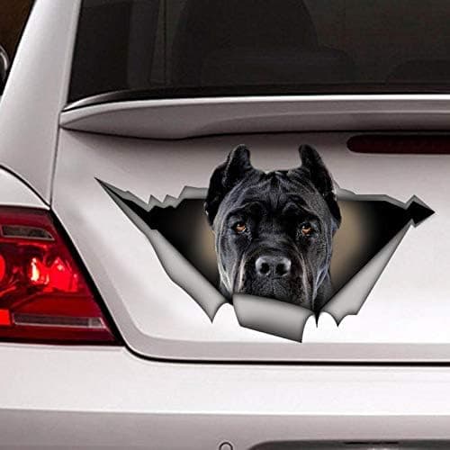Black Cane Corso car Decal, Pet Sticker, Dog Decal, Black Cane Corso Sticker Vinyl Decal Sticker for Cars, Trucks, Windows, Walls, Laptops 11"