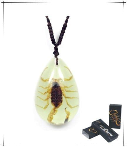 Real Brown Scorpion Necklace Small Teardrop (Glow in The Dark)