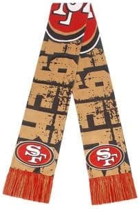 FOCO NFL unisex-adult 2017 Printed Big Logo Scarf