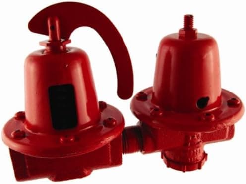 Bell & Gossett 110199 Hot Water Pressure Relief Valve