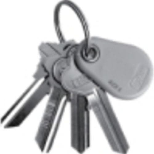 Keri Systems PKT-10X Standard Light Proximity Key Tag (50 Pack)
