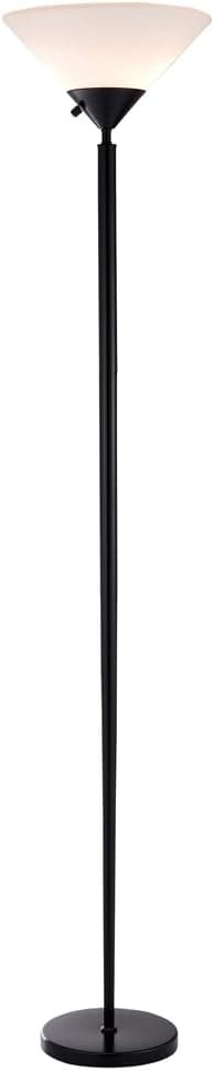 Adesso 7507-01 Virgo Floor Lamp, Black Finish