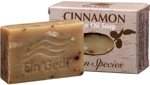 Bethlehem Gifts TM EIN Gedi Dead Sea Mineral Olive Oil Incense Infused Soap Bar 100g (Cinnamon)