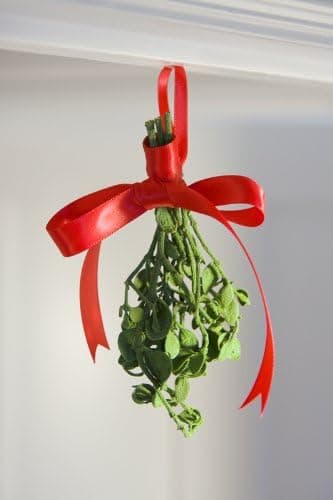 Sterling Pear Real Mistletoe - Preserved to Last - Non-perishable