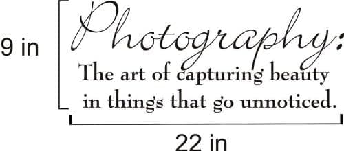 Photography Vinyl Decal (22x9)