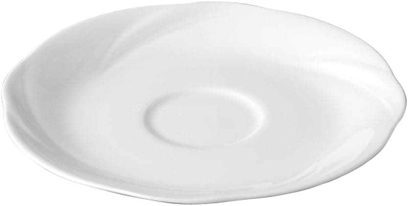 Sasaki Windswept Saucer