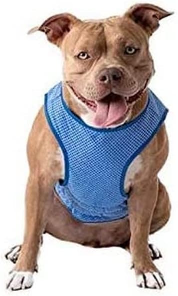 GC331-5 ElastoFit Cooling Ice Vest XL