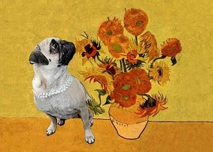 Pug Art Print on Canvas Van Gogh Sunflowers