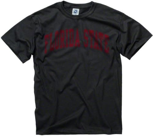 Florida State Seminoles Black Arch T-Shirt