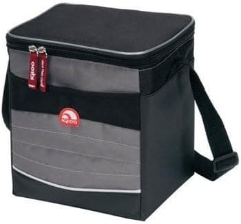 Igloo 55975 Vertical Soft 6 CAN Cooler Berry