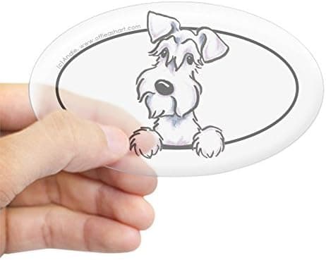 CafePress White Schnauzer Peeking Bumper Oval Bumper Sticker, Euro Oval Car Decal