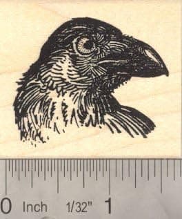 Raven Bird Portrait Rubber Stamp