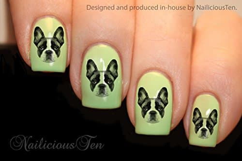 NAILICIOUS TEN French Bulldog Design Nail Art Wraps Water Transfers 21pcs Decals ST8132