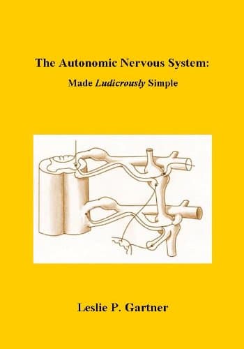 The Autonomic Nervous System: Made Ludicrously Simple